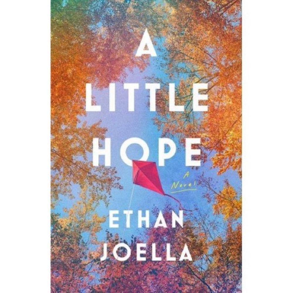 A Little Hope book